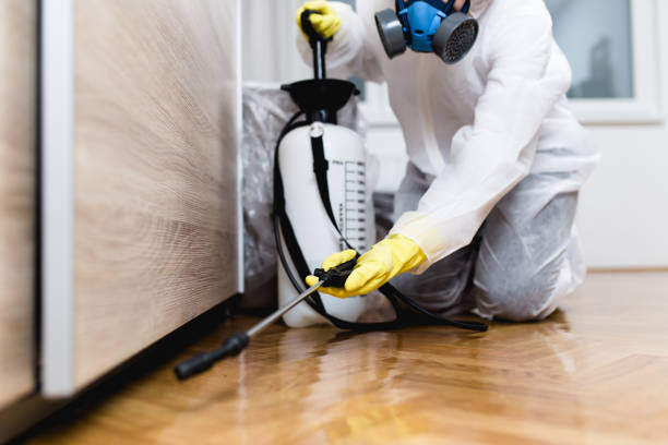 Flea Control Services in Ivins, UT