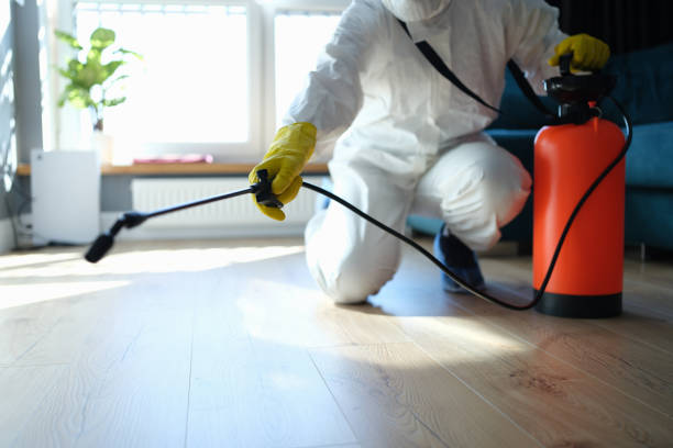 Best Flea Control Services  in Ivins, UT