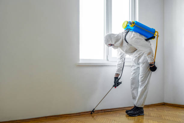 Best Bed Bug Extermination  in Ivins, UT