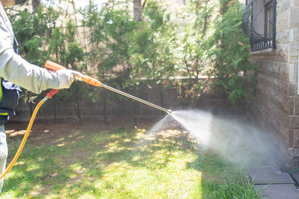 Best Local Pest Control Services  in Ivins, UT