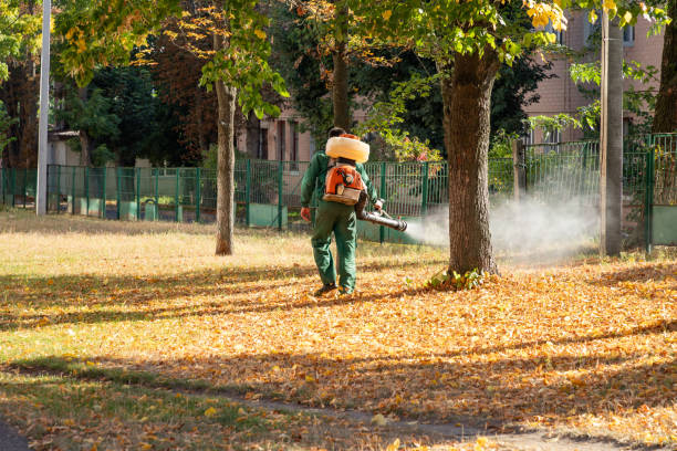 Best Exterminator Services  in Ivins, UT