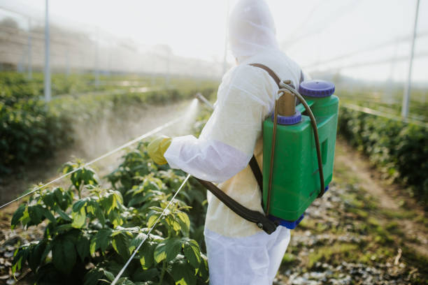 Best Pest Control Near Me  in Ivins, UT